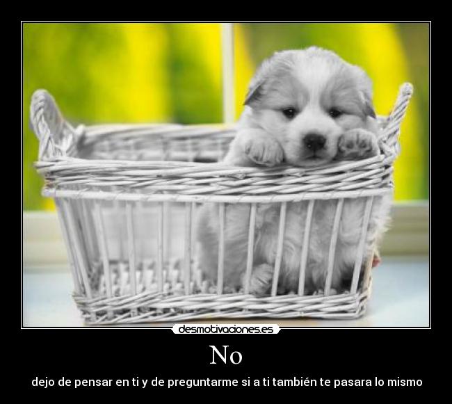 No - dejo de pensar en ti y de preguntarme si a ti también te pasara lo mismo