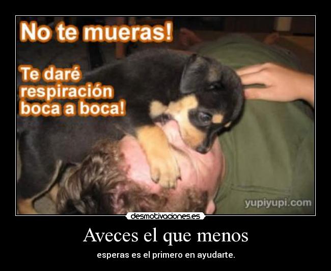 Aveces el que menos - esperas es el primero en ayudarte.