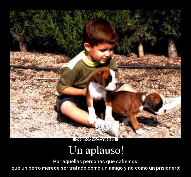 Un aplauso! - 