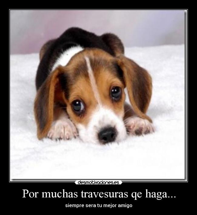 Por muchas travesuras qe haga... - siempre sera tu mejor amigo