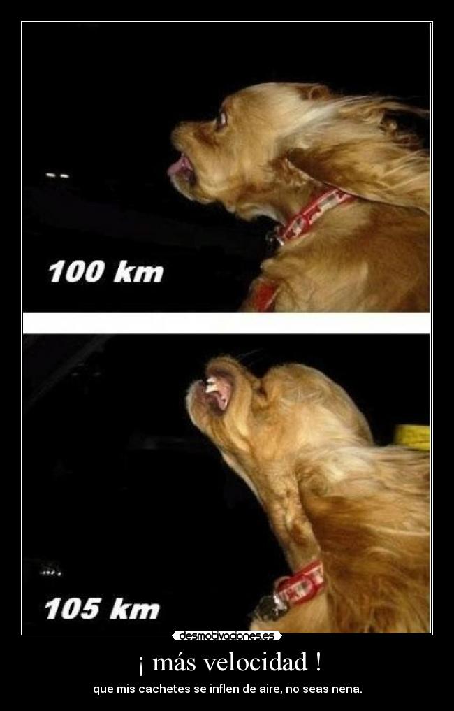 ¡ más velocidad ! - que mis cachetes se inflen de aire, no seas nena.