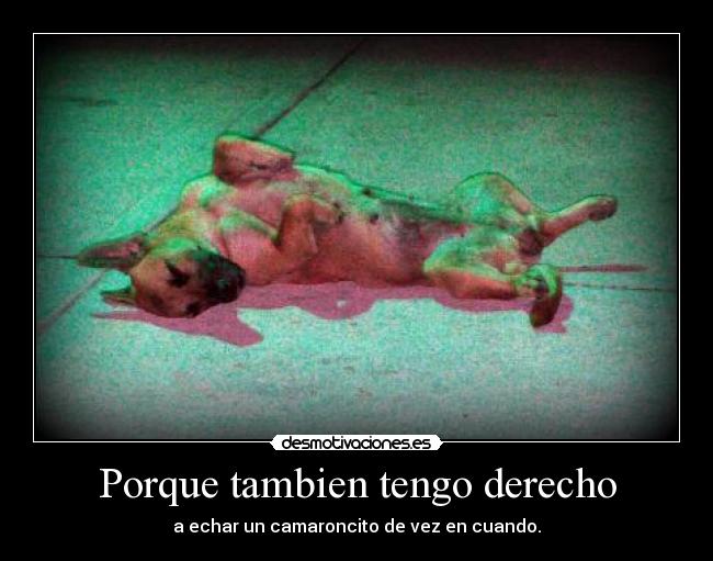 Porque tambien tengo derecho - a echar un camaroncito de vez en cuando.