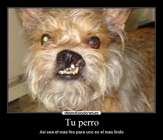 carteles verdadero desmotivaciones