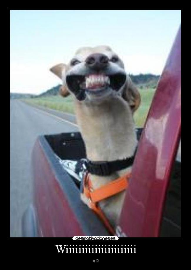 carteles wiiiiiiiiii perro desmotivaciones