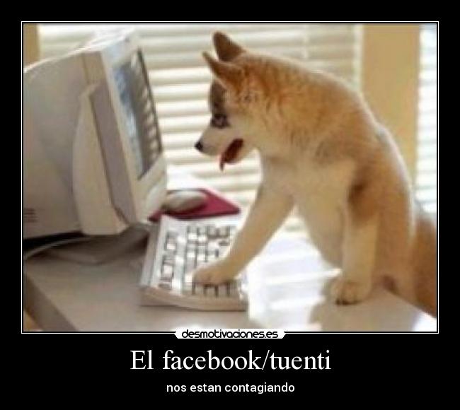 El facebook/tuenti -