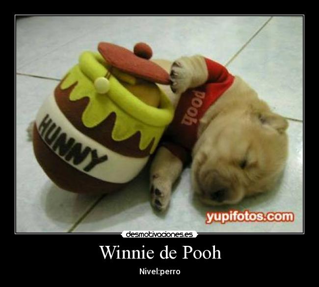 Winnie de Pooh - 