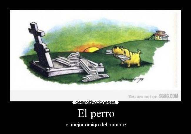 El perro - el mejor amigo del hombre