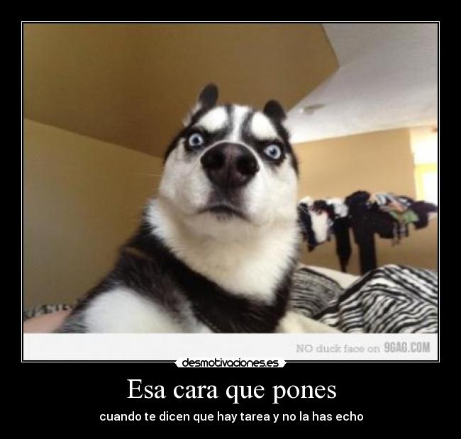 Esa cara que pones - 