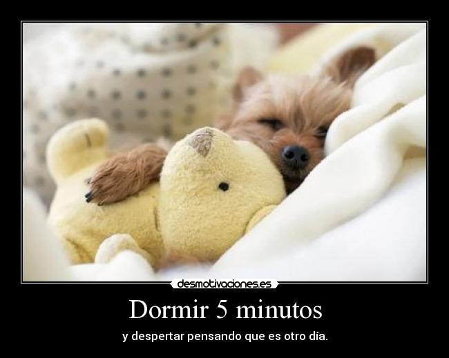 Dormir 5 minutos - 