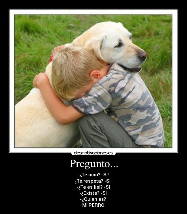 Pregunto... - -¿Te ama?- SI!
¿Te respeta? -SI!
-¿Te es fiel? -SI
-¿Existe? -SI
-¿Quien es?
MI PERRO!