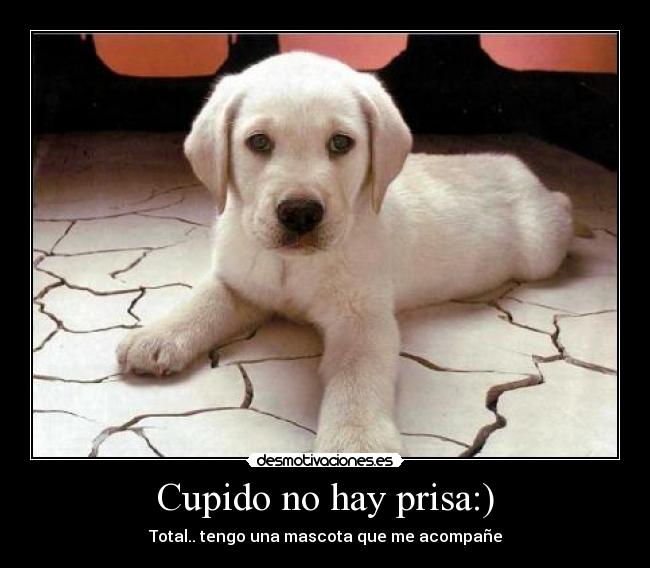 Cupido no hay prisa:) -