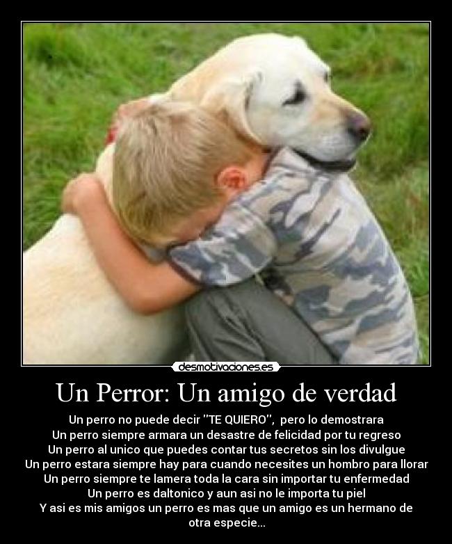 Un Perror: Un amigo de verdad - 