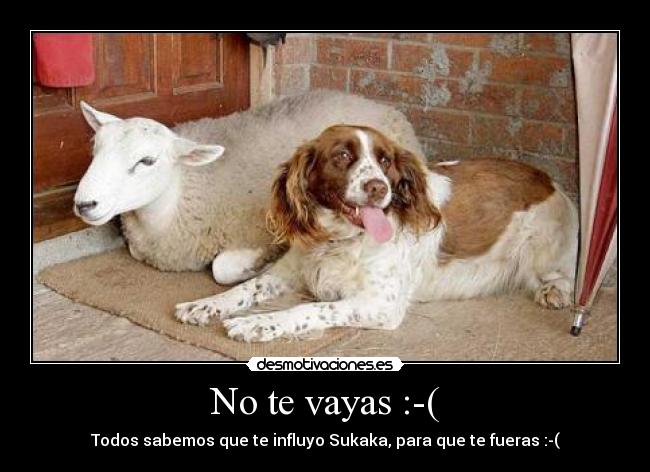 No te vayas :-( - 