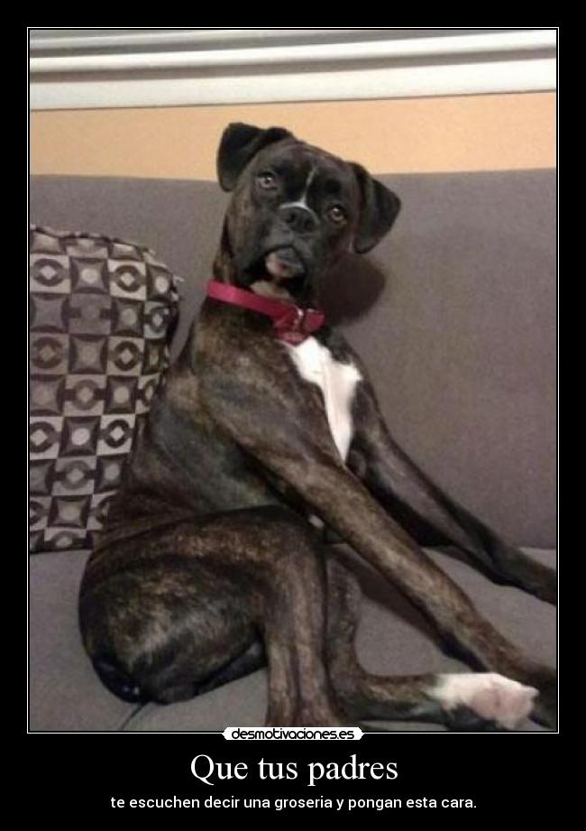 Que tus padres - te escuchen decir una groseria y pongan esta cara.