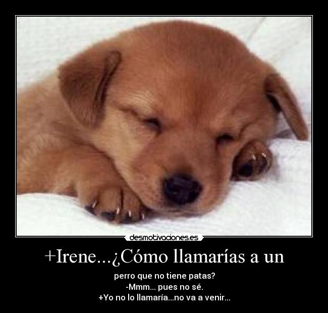 +Irene...¿Cómo llamarías a un - 