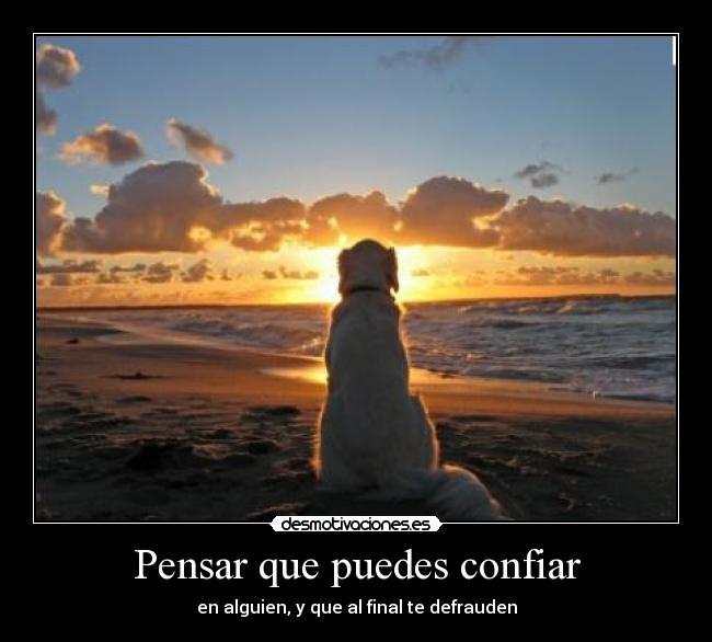 Pensar que puedes confiar - en alguien, y que al final te defrauden