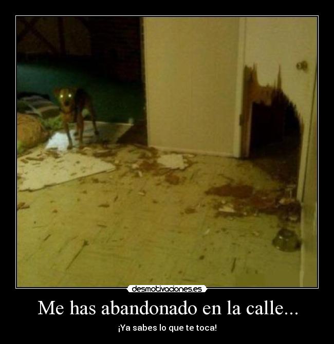 Me has abandonado en la calle... - 