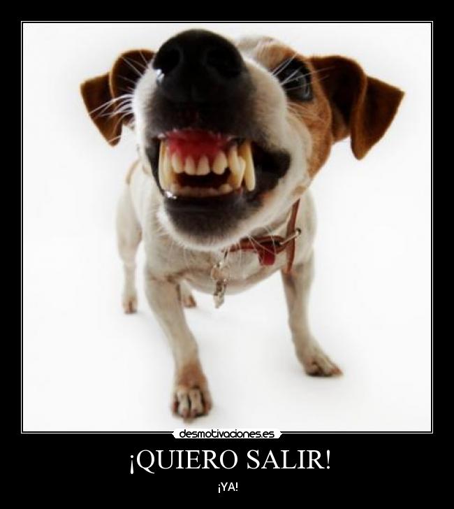 ¡QUIERO SALIR! - ¡YA!
