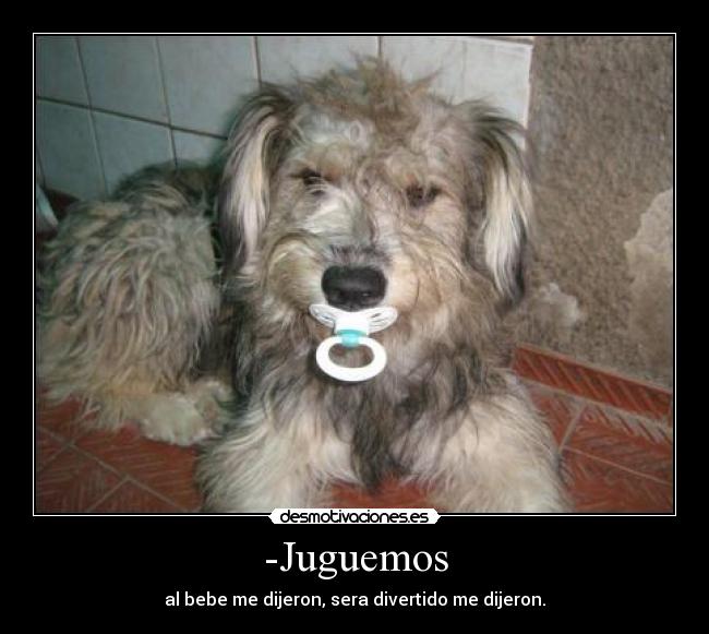 carteles perro con chupete igual que andreszambrano cartel vengan madafakas desmotivaciones