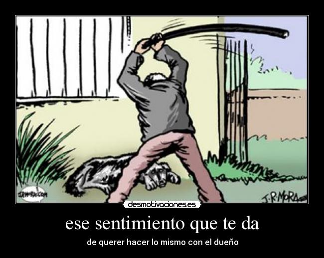 ese sentimiento que te da -