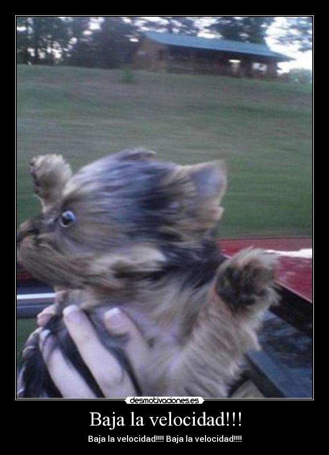 Baja la velocidad!!! - 