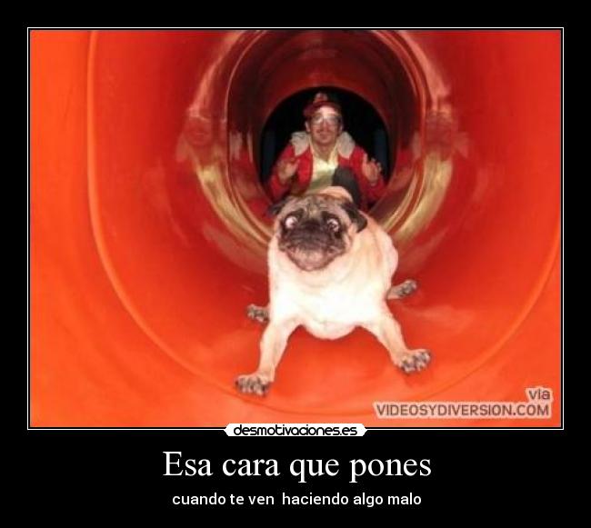 Esa cara que pones -