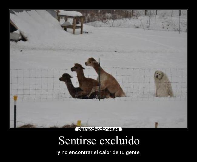 Sentirse excluido - 