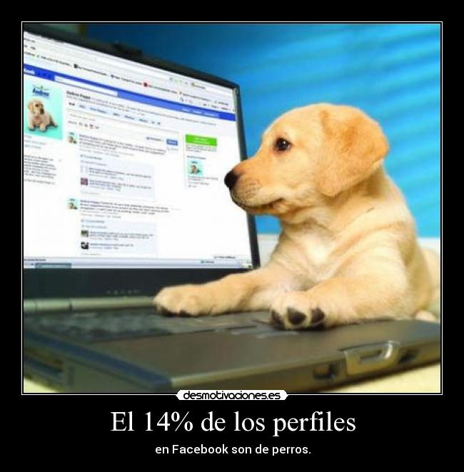 El 14% de los perfiles - en Facebook son de perros.