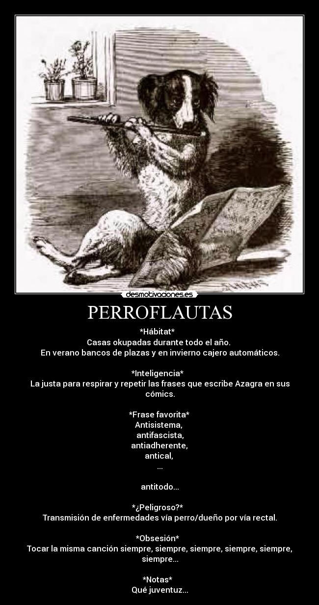 PERROFLAUTAS - *Hábitat*
Casas okupadas durante todo el año.
En verano bancos de plazas y en invierno cajero automáticos.
*Inteligencia*
La justa para respirar y repetir las frases que escribe Azagra en sus cómics.
*Frase favorita*
Antisistema,
antifascista,
antiadherente,
antical,
...
antitodo...
*¿Peligroso?*
Transmisión de enfermedades vía perro/dueño por vía rectal.
*Obsesión*
Tocar la misma canción siempre, siempre, siempre, siempre, siempre, siempre...
*Notas*
Qué juventuz...