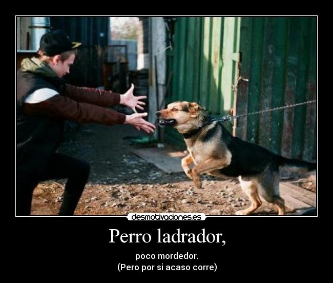Perro ladrador, - poco mordedor.
(Pero por si acaso corre)