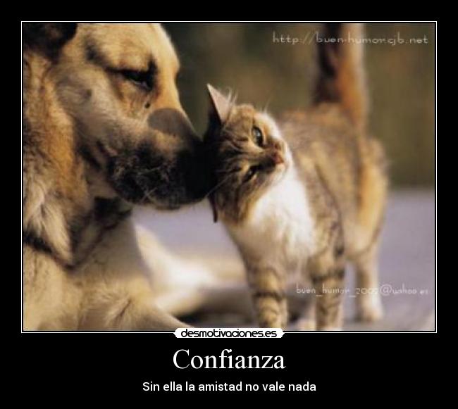 Confianza - Sin ella la amistad no vale nada