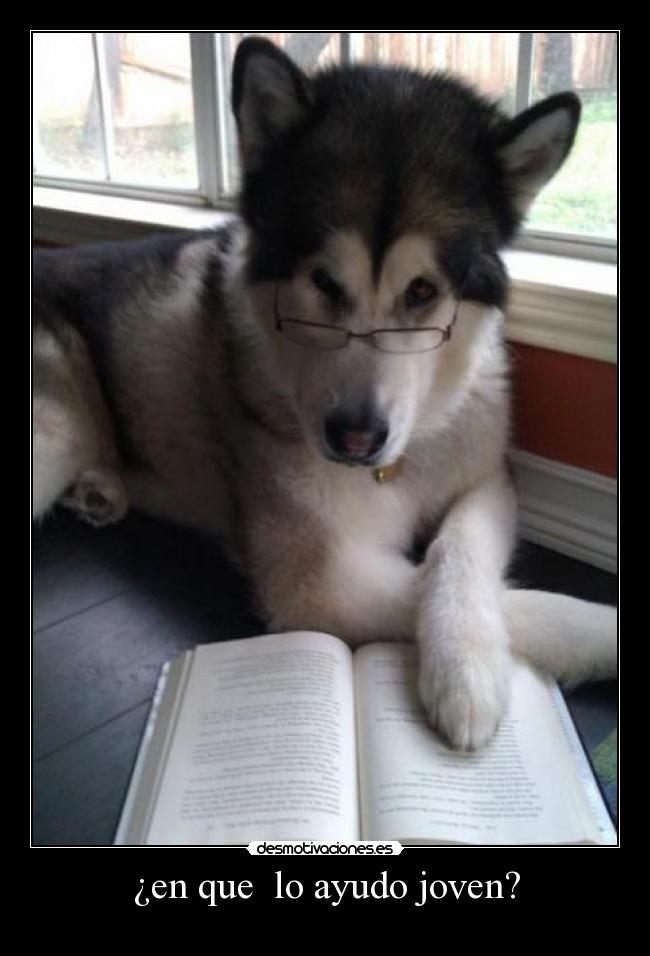 ¿en que lo ayudo joven? -