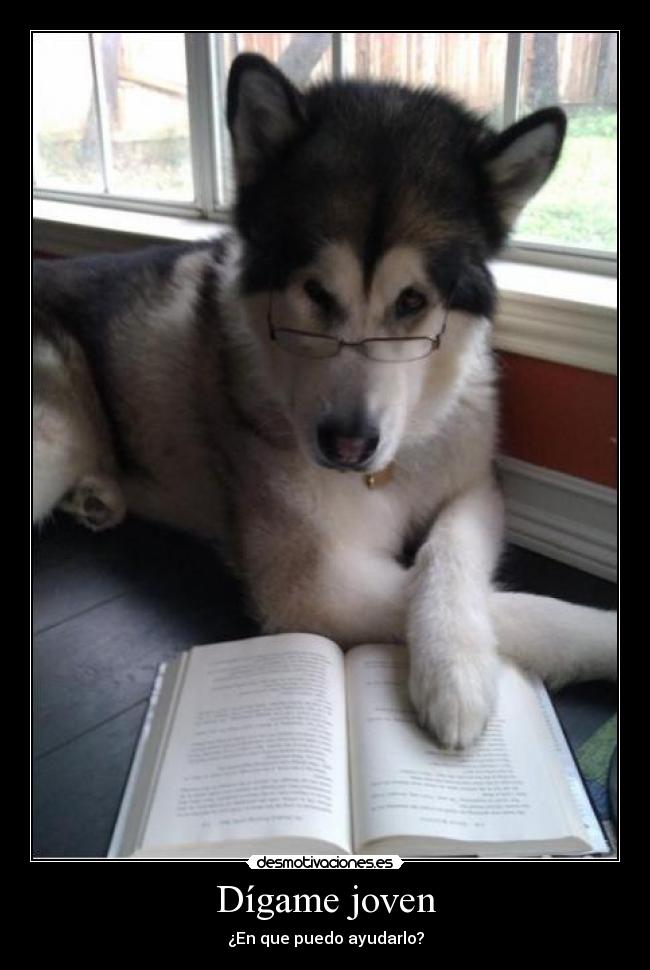 Dígame joven - ¿En que puedo ayudarlo?