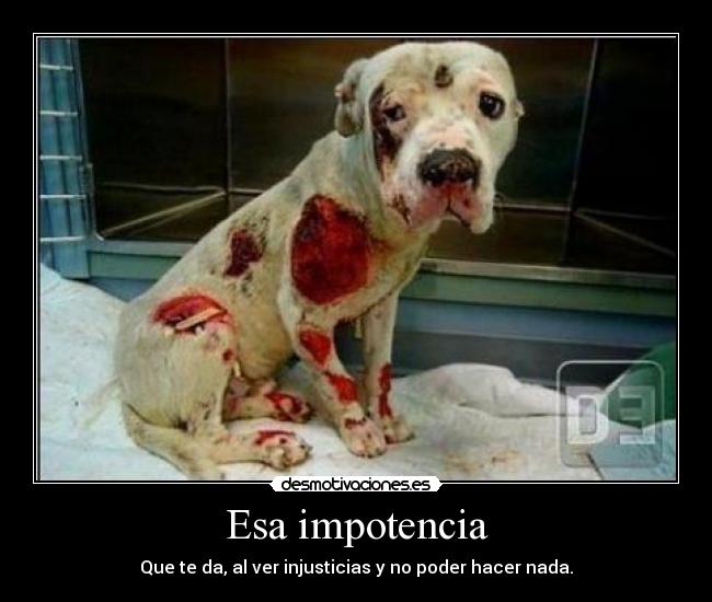 Esa impotencia -