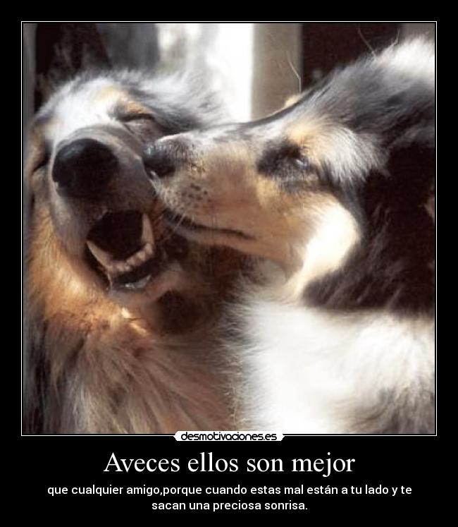 Aveces ellos son mejor - que cualquier amigo,porque cuando estas mal están a tu lado y te
sacan una preciosa sonrisa.