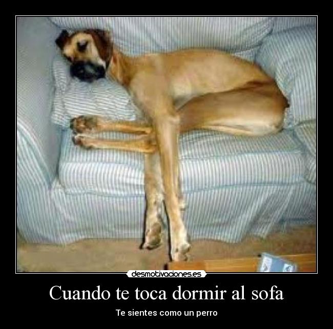 Cuando te toca dormir al sofa - 