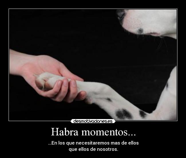 Habra momentos... - ...En los que necesitaremos mas de ellos
que ellos de nosotros.
