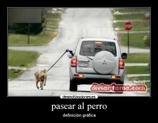pasear al perro - 