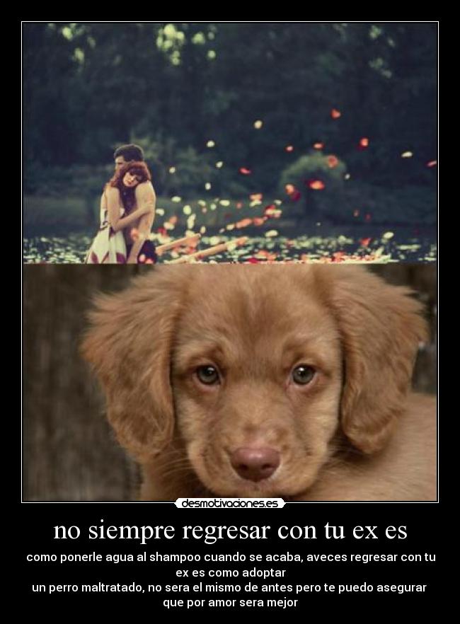 no siempre regresar con tu ex es - como ponerle agua al shampoo cuando se acaba, aveces regresar con tu
ex es como adoptar
un perro maltratado, no sera el mismo de antes pero te puedo asegurar
que por amor sera mejor
