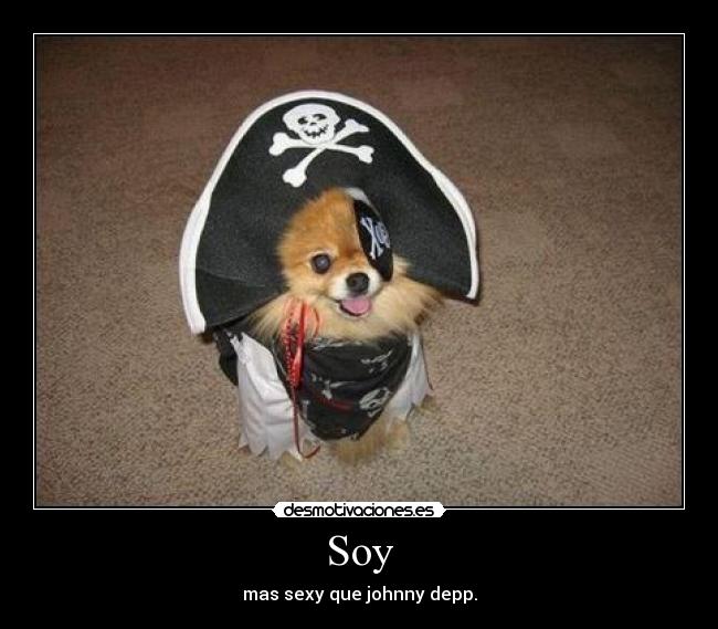 carteles soy mas sexy que johnny depp andreszambrano las princis estan escasas desmotivaciones