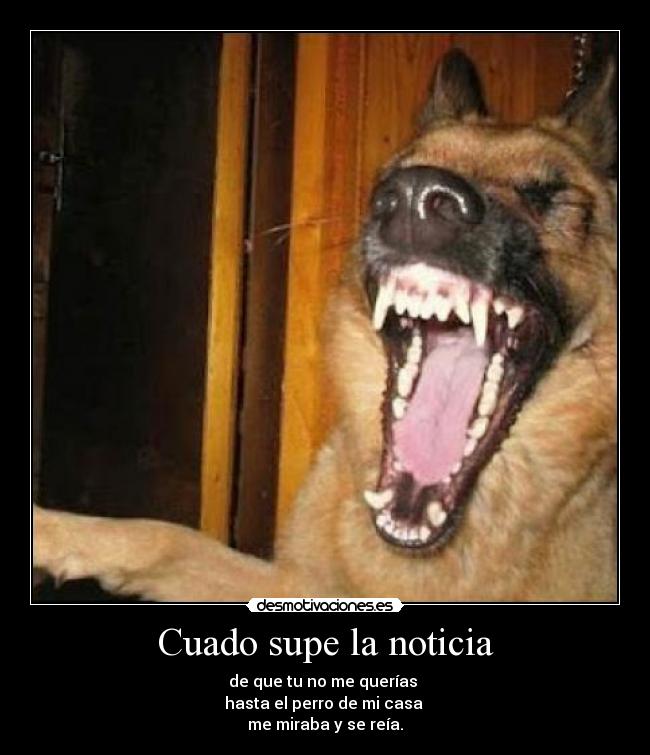 Cuado supe la noticia - de que tu no me querías
hasta el perro de mi casa
me miraba y se reía.