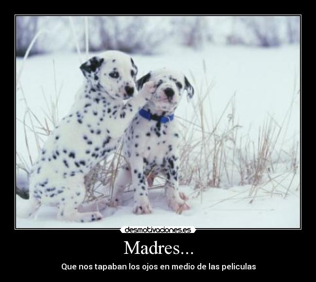 Madres... - Que nos tapaban los ojos en medio de las peliculas