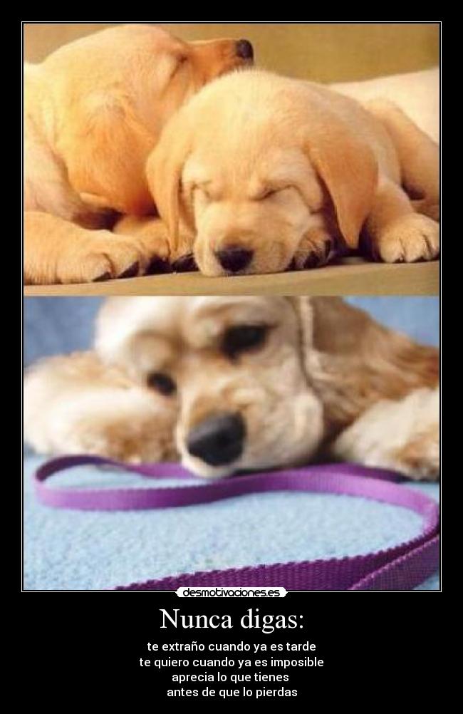 Nunca digas: - 