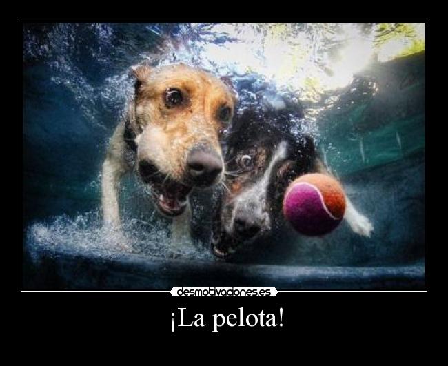 carteles sigueme twitter cuenta lgns desmotivaciones