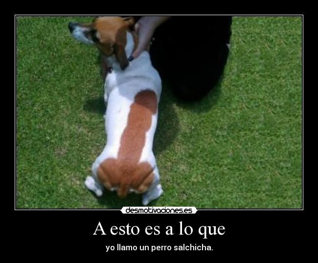 A esto es a lo que -