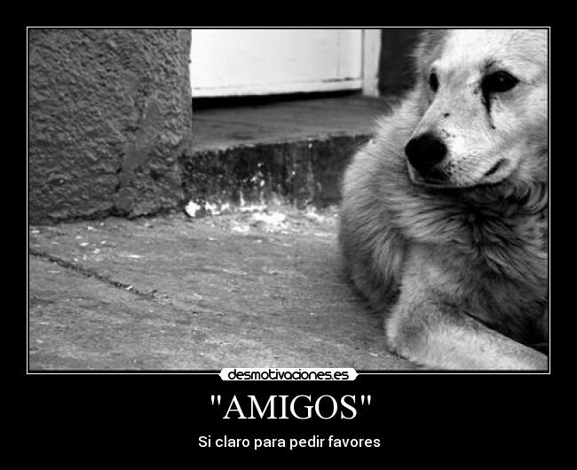 AMIGOS - 