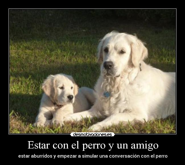 Estar con el perro y un amigo - estar aburridos y empezar a simular una conversación con el perro