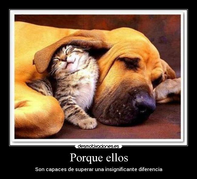 carteles aleja desmotivaciones