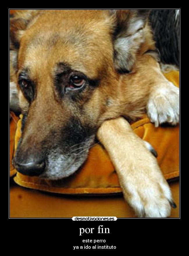 por fin -