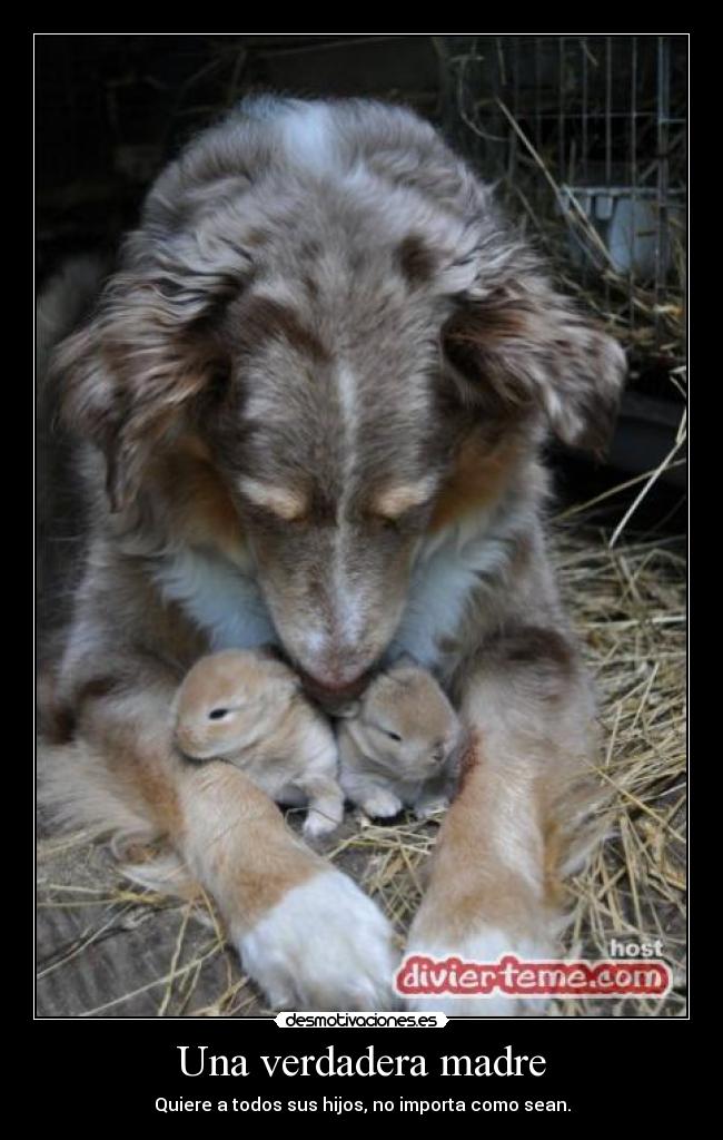 Una verdadera madre - Quiere a todos sus hijos, no importa como sean.